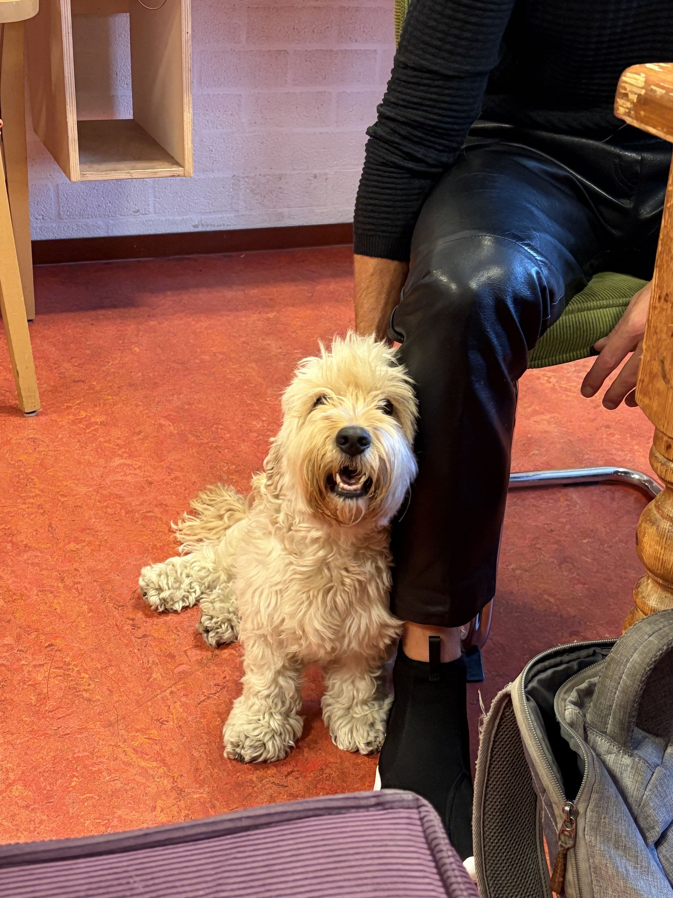 hond Ruby was erbij